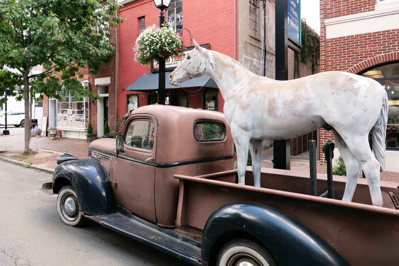 A life-sized white horse statue in the back of an old brown pickup outside Hard Times Café